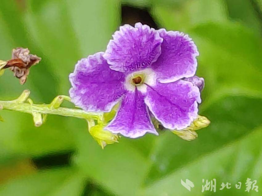 银河 金沙